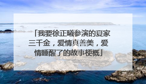 我要徐正曦参演的夏家三千金，爱情真善美，爱情睡醒了的故事梗概