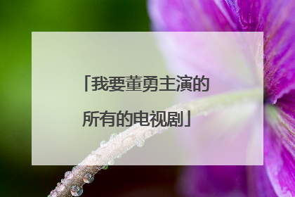 我要董勇主演的所有的电视剧