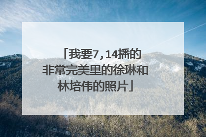 我要7,14播的非常完美里的徐琳和林培伟的照片