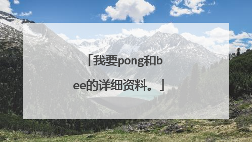 我要pong和bee的详细资料。