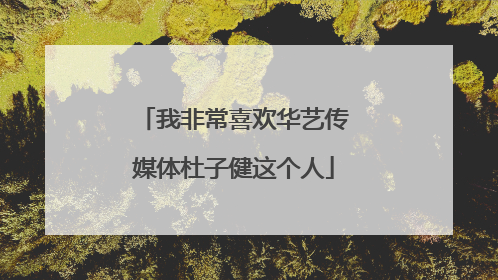 我非常喜欢华艺传媒体杜子健这个人