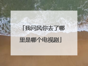 我问风你去了哪里是哪个电视剧