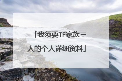 我须要TF家族三人的个人详细资料