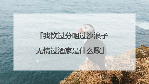 我饮过分咽过沙浪子无情过酒家是什么歌