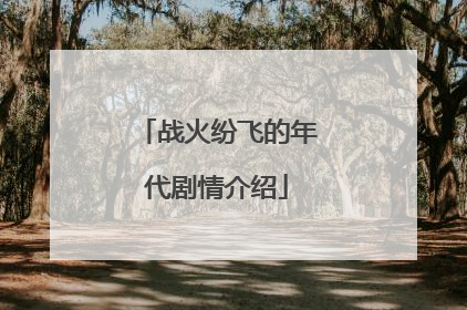战火纷飞的年代剧情介绍