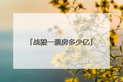 战狼一票房多少亿