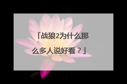 战狼2为什么那么多人说好看？
