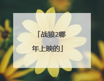 战狼2哪年上映的