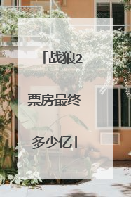 战狼2票房最终多少亿