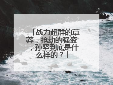 战力超群的草莽,抢劫的强盗,孙坚到底是什么样的?