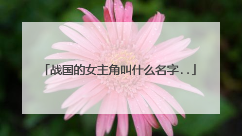 战国的女主角叫什么名字..