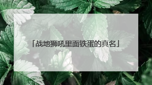 战地狮吼里面铁蛋的真名