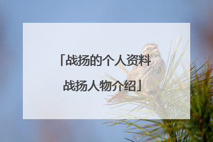 战扬的个人资料 战扬人物介绍