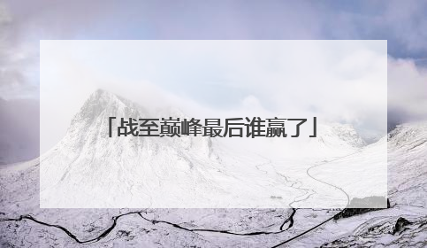 战至巅峰最后谁赢了