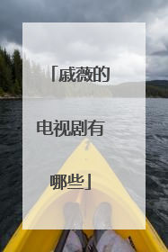 戚薇的电视剧有哪些