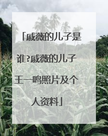 戚薇的儿子是谁?戚薇的儿子王一鸣照片及个人资料