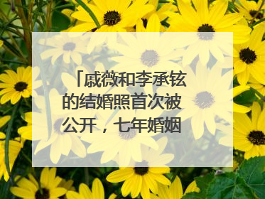 戚薇和李承铉的结婚照首次被公开，七年婚姻细节是真恩爱还是频频作秀？