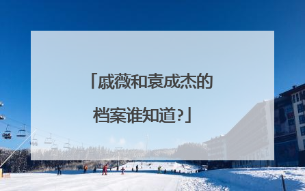 戚薇和袁成杰的档案谁知道?
