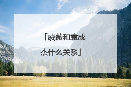 戚薇和袁成杰什么关系