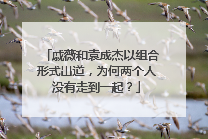戚薇和袁成杰以组合形式出道,为何两个人没有走到一起?