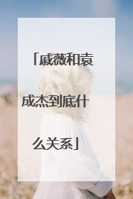 戚薇和袁成杰到底什么关系