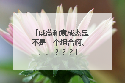 戚薇和袁成杰是不是一个组合啊、、、???
