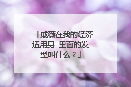 戚薇在我的经济适用男 里面的发型叫什么？