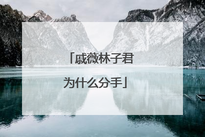 戚薇林子君为什么分手