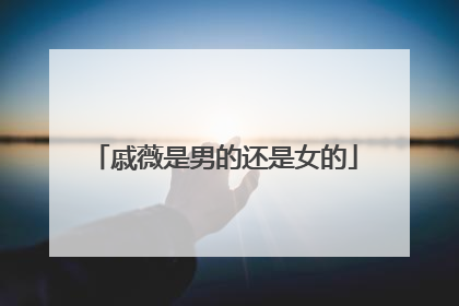 戚薇是男的还是女的