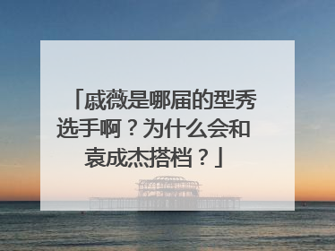 戚薇是哪届的型秀选手啊？为什么会和袁成杰搭档？