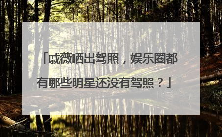 戚薇晒出驾照,娱乐圈都有哪些明星还没有驾照?