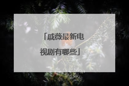 戚薇最新电视剧有哪些