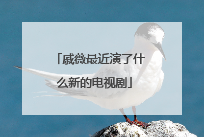 戚薇最近演了什么新的电视剧