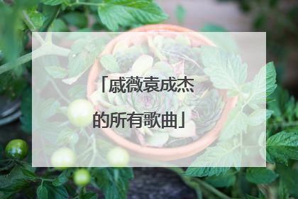 戚薇袁成杰的所有歌曲
