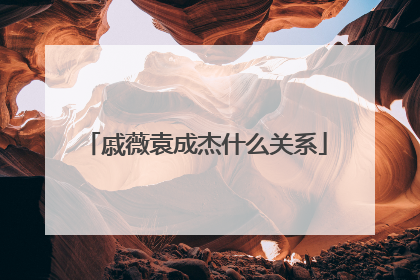 戚薇袁成杰什么关系