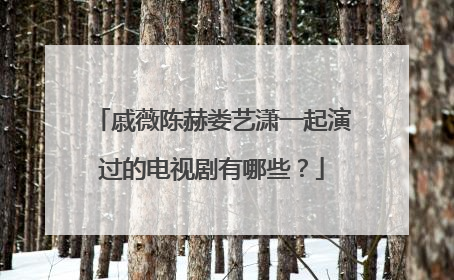 戚薇陈赫娄艺潇一起演过的电视剧有哪些？