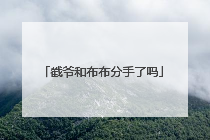 戳爷和布布分手了吗