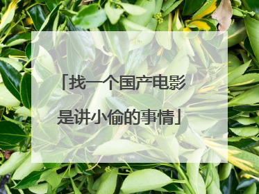 找一个国产电影 是讲小偷的事情