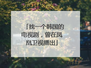 找一个韩国的电视剧，曾在凤凰卫视播出