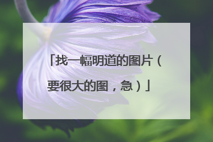 找一幅明道的图片(要很大的图,急)
