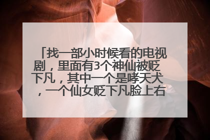 找一部小时候看的电视剧,里面有3个神仙被贬下凡,其中一个是哮天犬,一个仙女贬下凡脸上右胎记,还一...