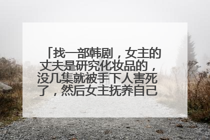 找一部韩剧,女主的丈夫是研究化妆品的,没几集就被手下人害死了,然后女主抚养自己姐姐还是妹妹的女儿