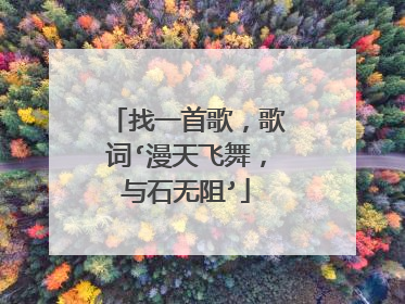 找一首歌,歌词‘漫天飞舞,与石无阻’