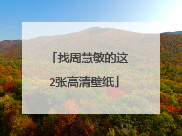 找周慧敏的这2张高清壁纸