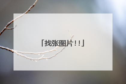 找张图片!!