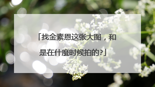 找金素恩这张大图，和是在什麼时候拍的?