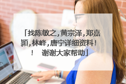 找陈敏之,黄宗泽,郑嘉頴,林峰,唐宁详细资料!! 谢谢大家帮助