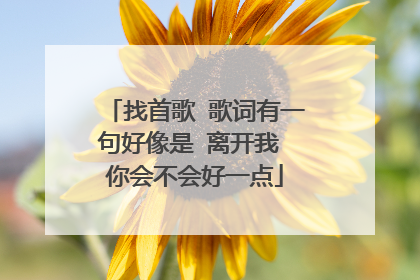 找首歌 歌词有一句好像是 离开我 你会不会好一点