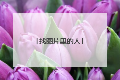找图片里的人