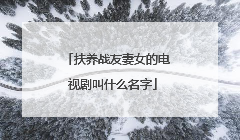 扶养战友妻女的电视剧叫什么名字